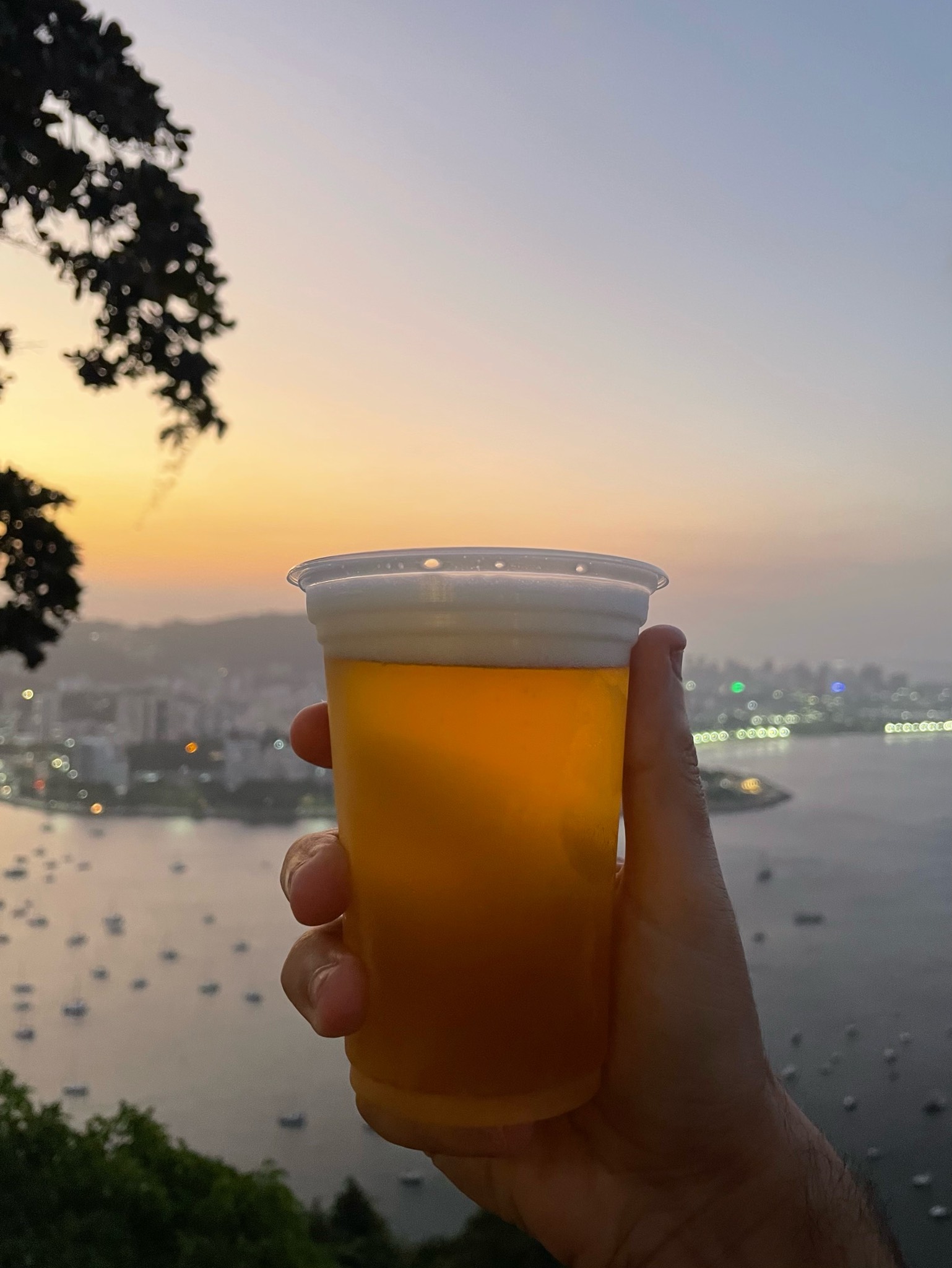 Tem gringo no samba, Brazil