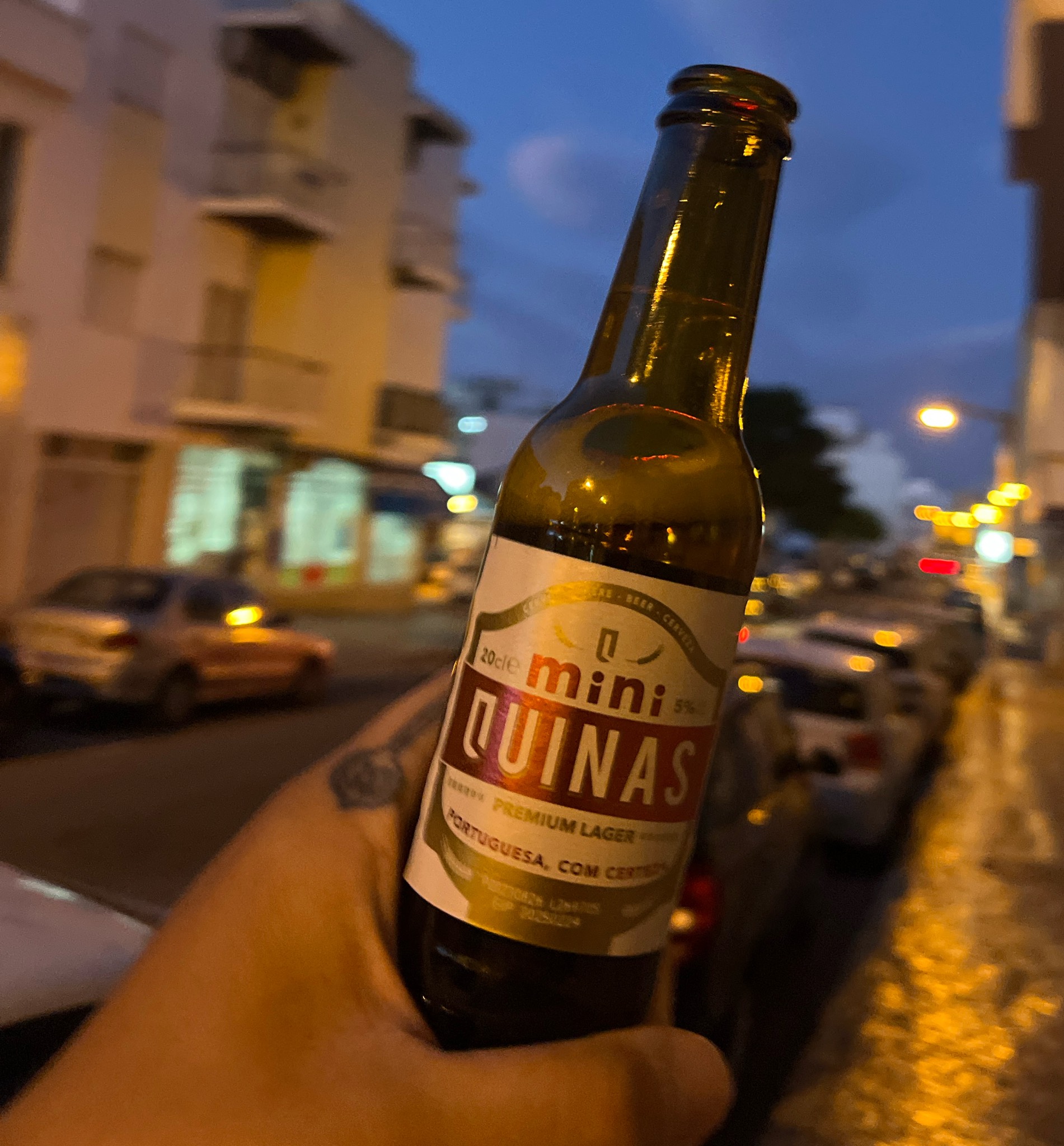 Quinas Lager, Domus Capital