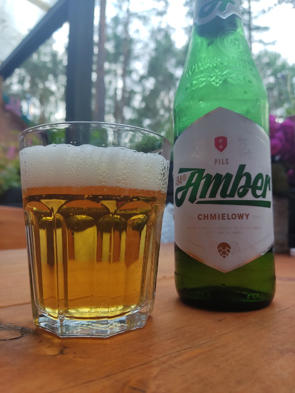 Amber Chmielowy, Poland