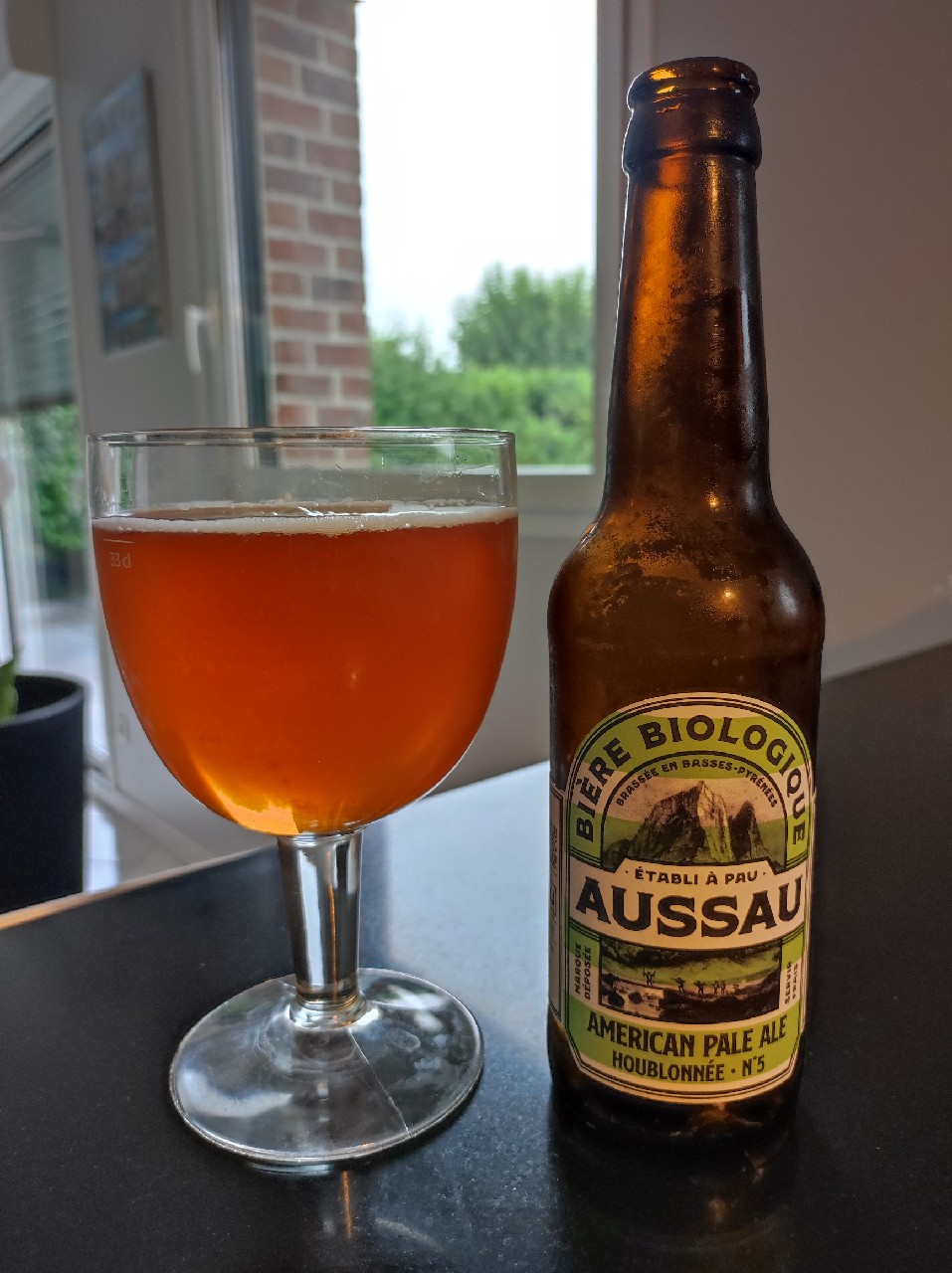 Aussau American Pale Ale, France