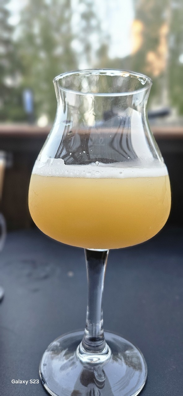 Quintuple Dry Hopped Motueka x Nelson Sauvin QIPA, Latvia