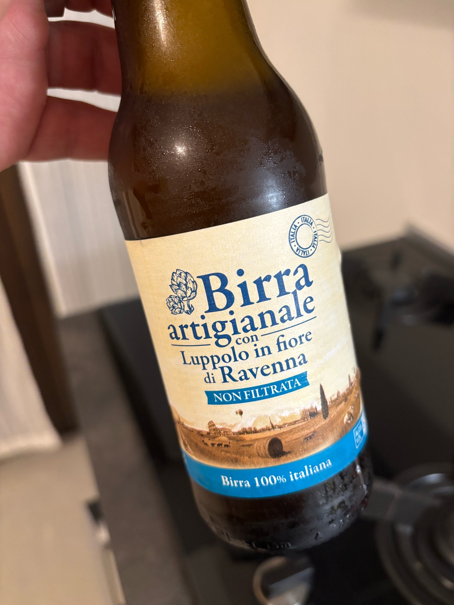 Birra Artigianale Con Luppolo In Fiore Di Ravenna, Italy