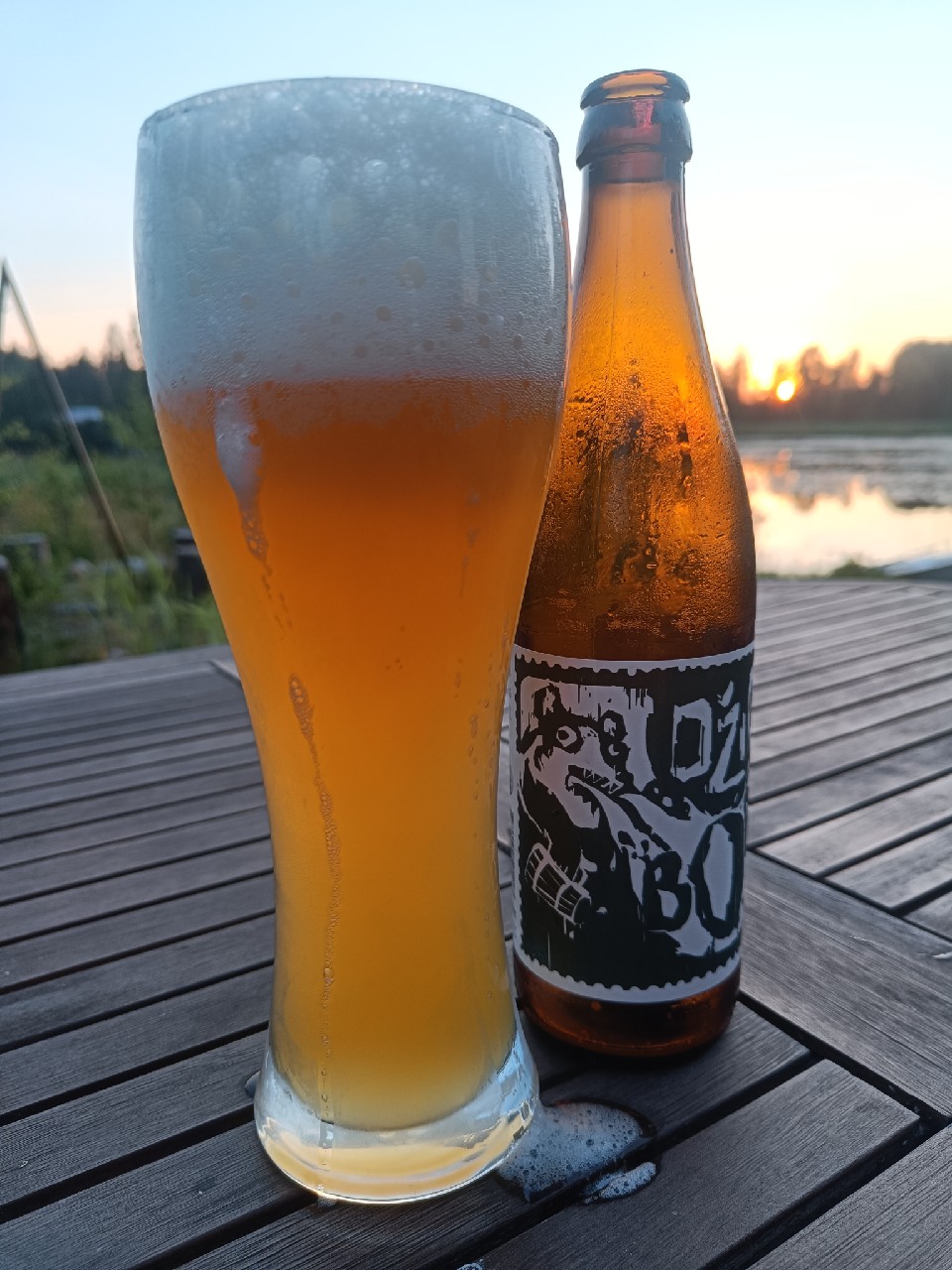 Dzion Borna, Lithuania