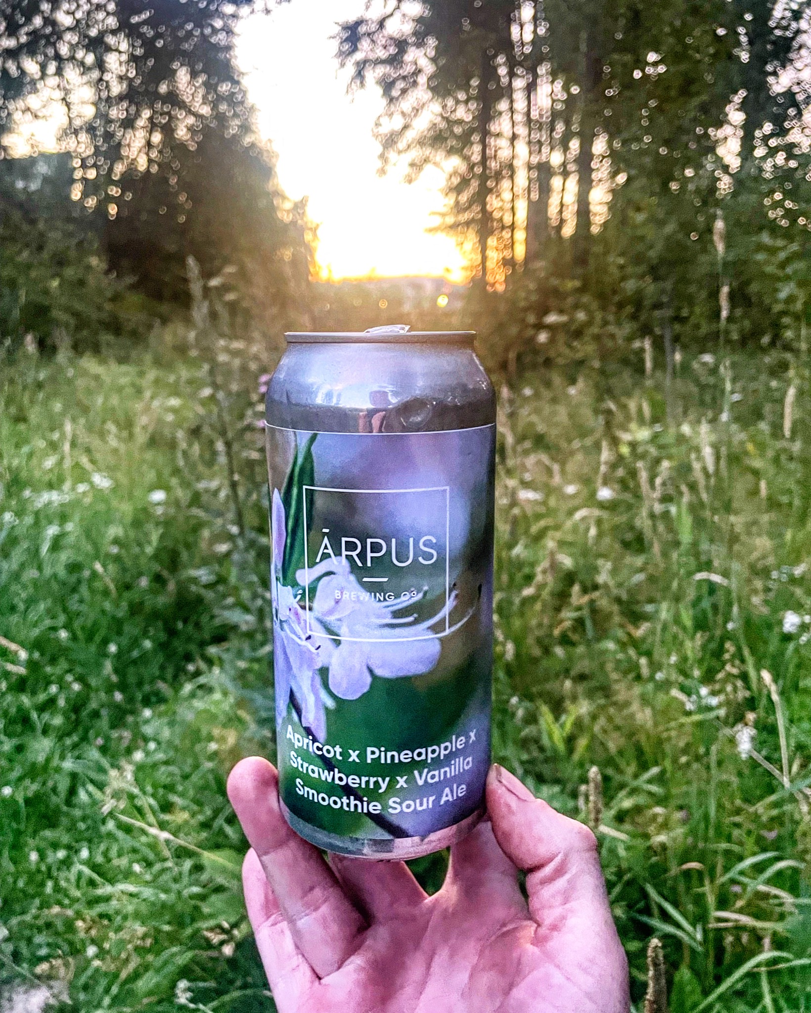 Apricot x Pineapple x Strawberry x Vanilla Smoothie Sour Ale, Latvia