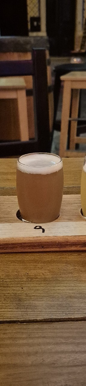 Joe Da Silva, Portugal