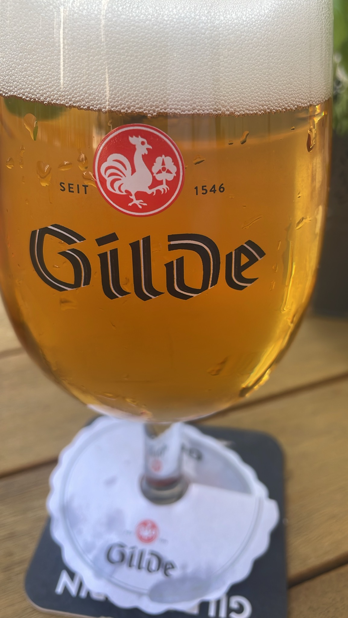 Gilde Pilsener, Germany