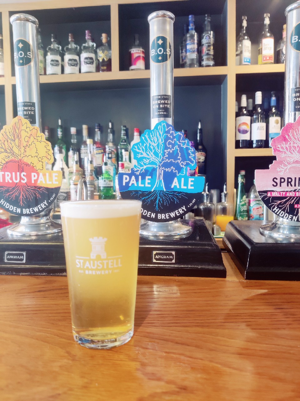 Pale Ale, Hidden Brewery Cornwall