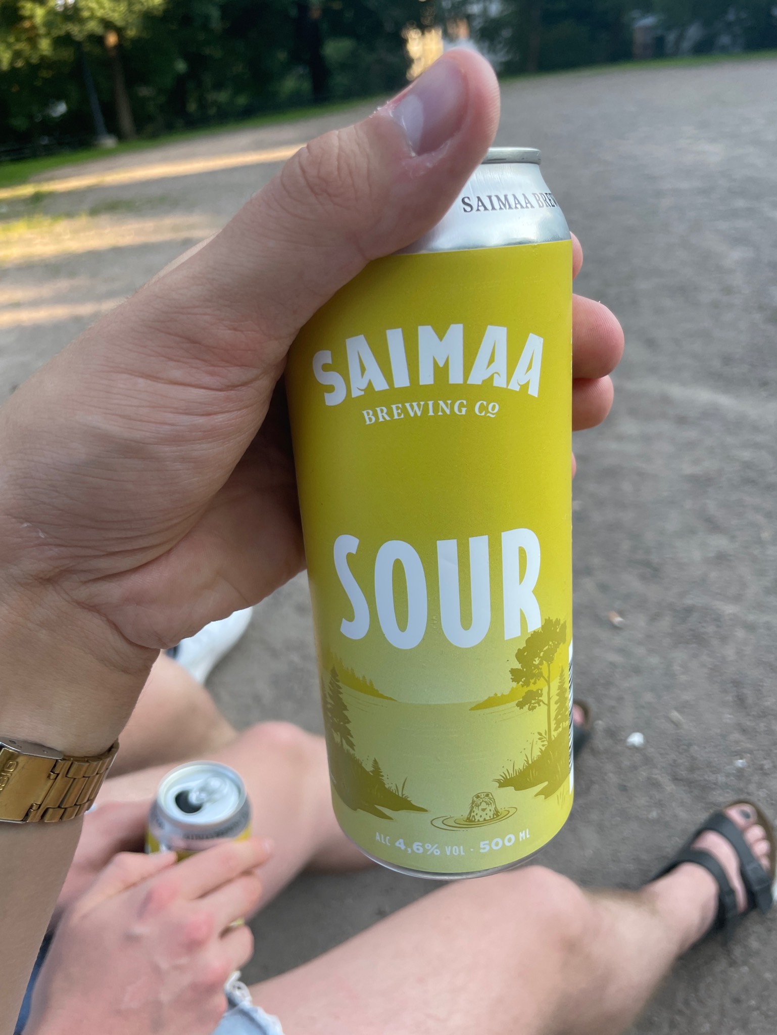 Saimaa Sour, Finland