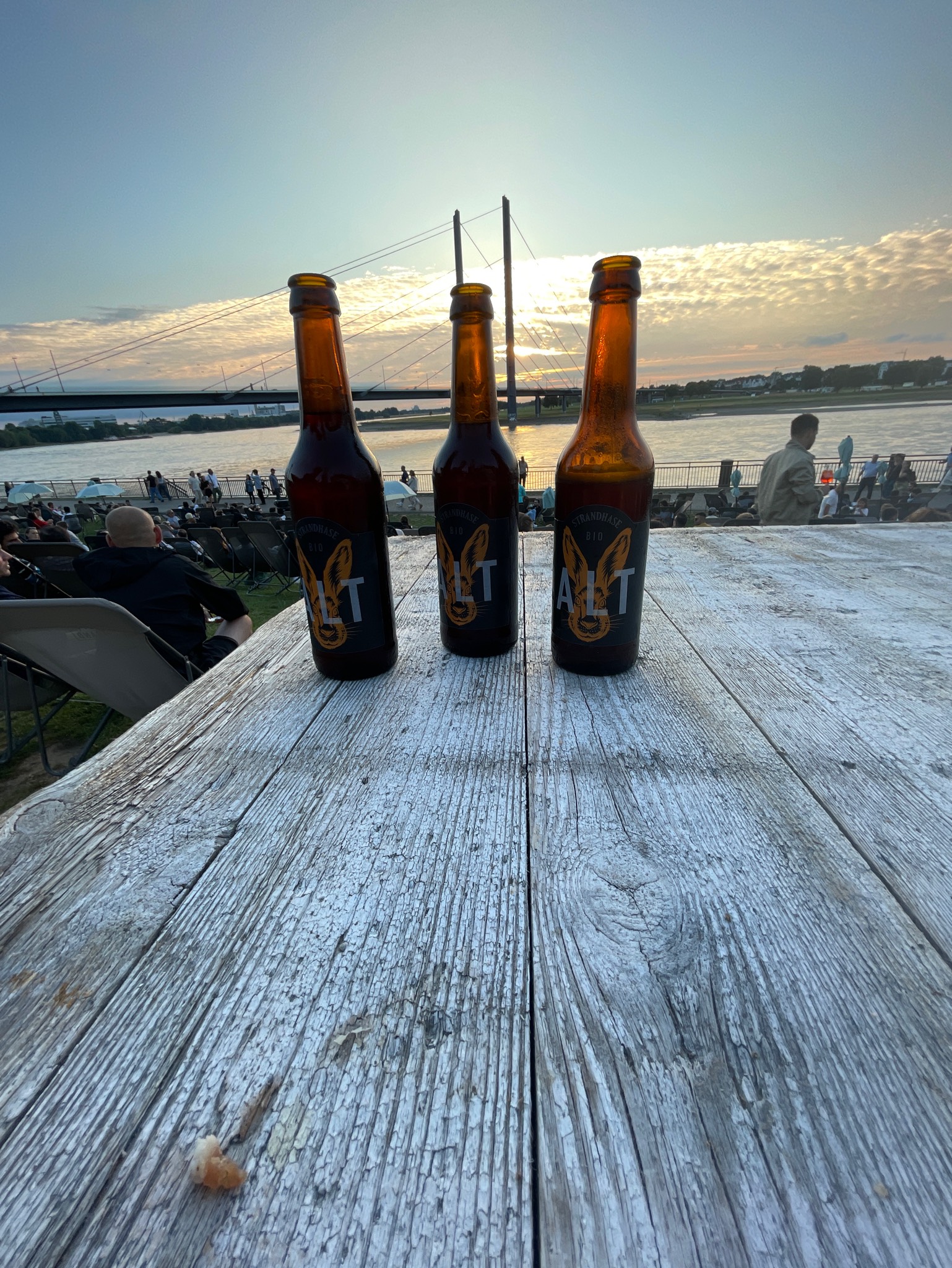 Strandhase Helles, Strandhase GmbH