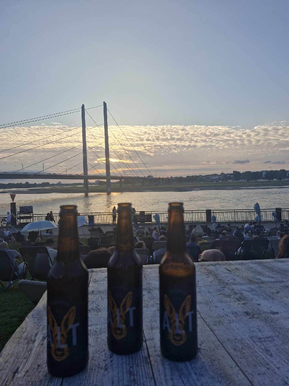 Strandhase Helles, Strandhase GmbH