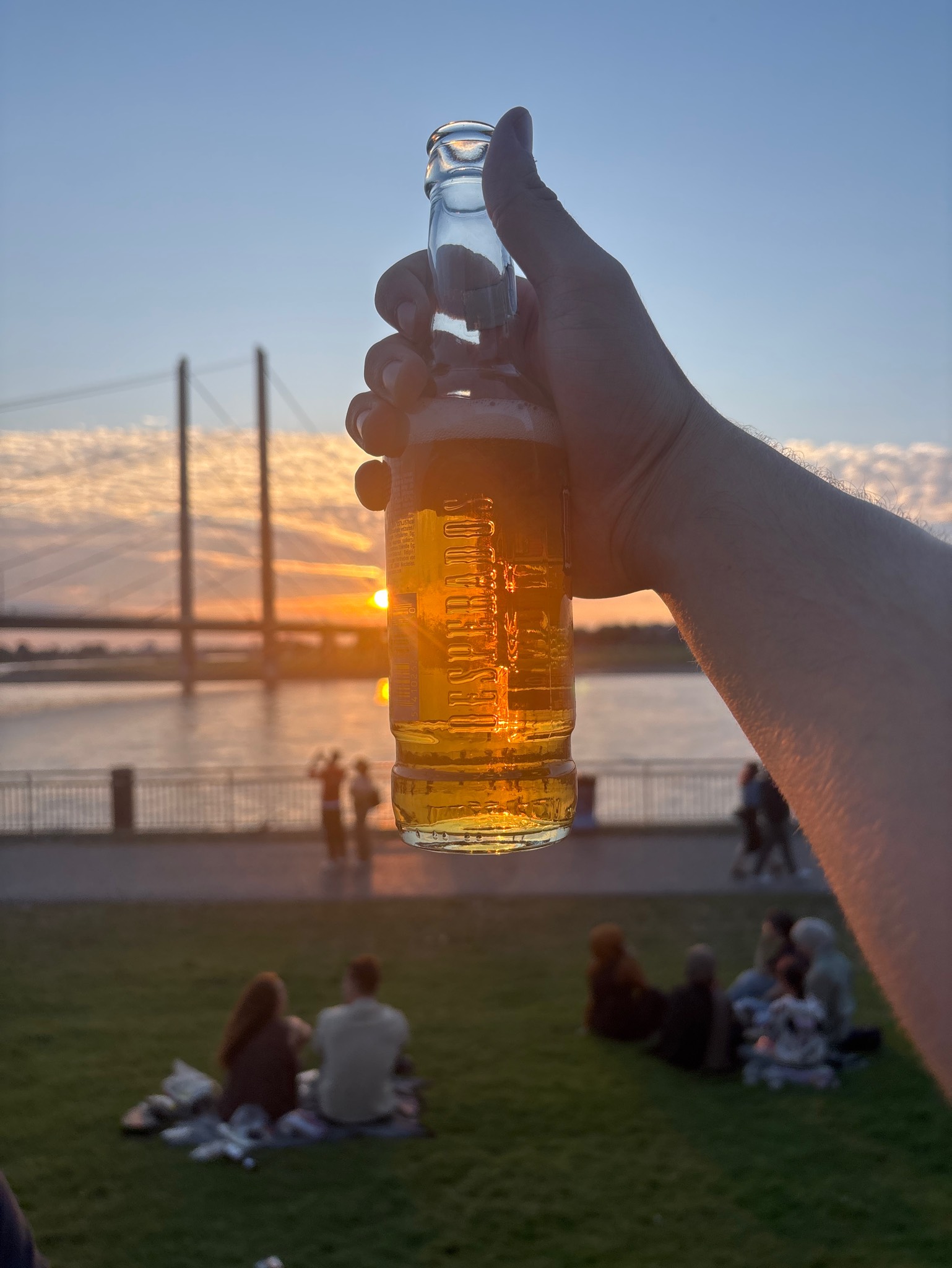 Desperados Original Tequila, Heineken Nederland