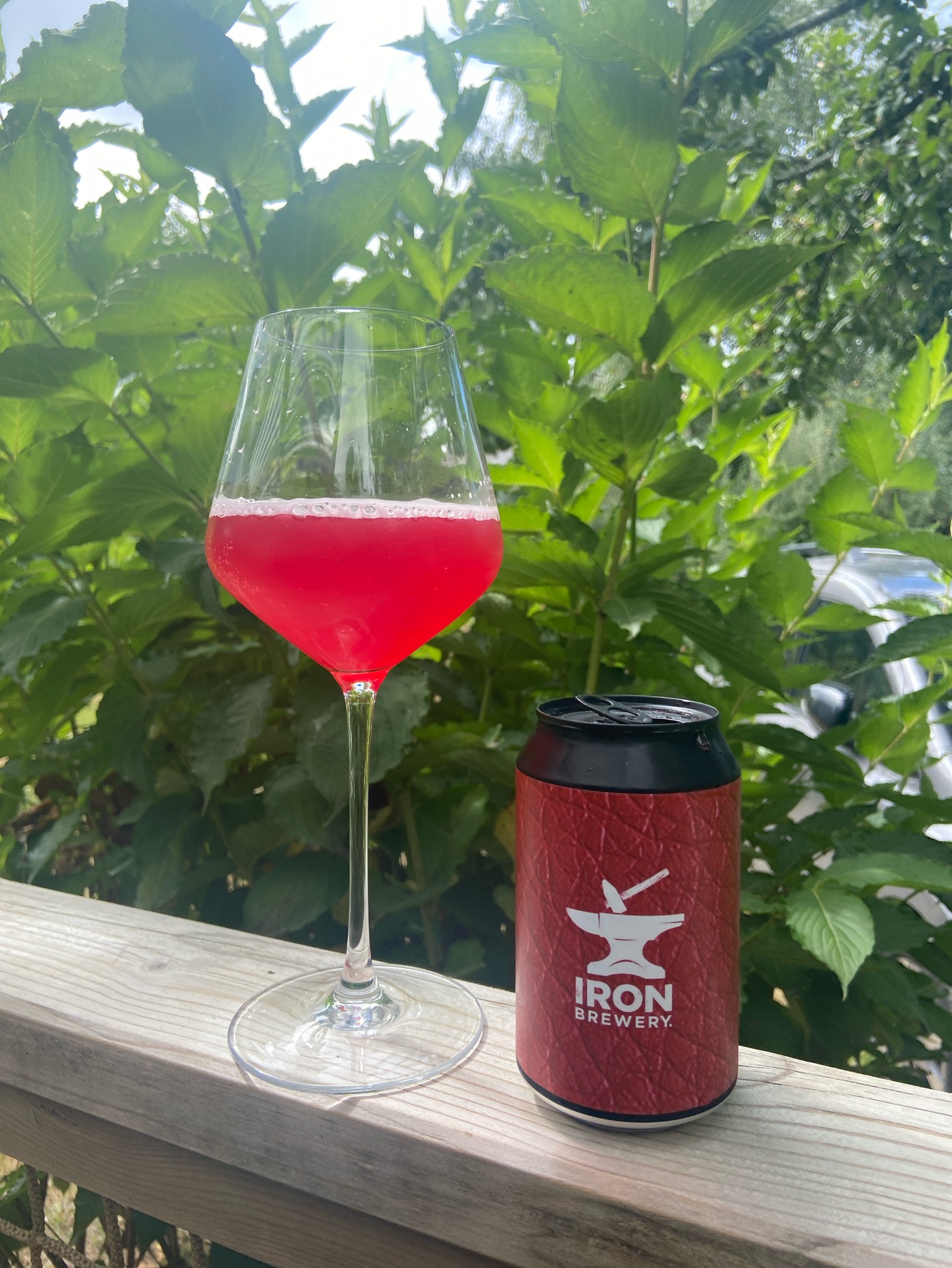 Mini Gose - Pickles de Betterave à l'Aneth, France