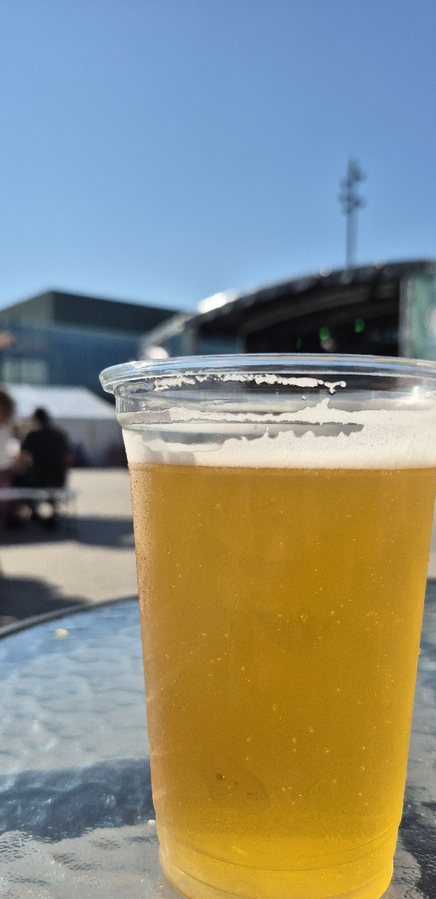 Birra Viola Bionda Lager, Italy