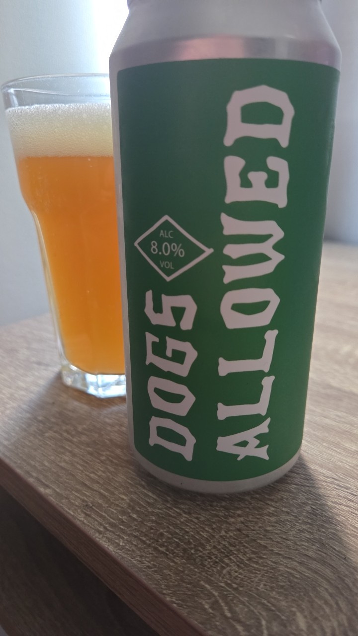 Dogs Allowed - Billie Tribute, Denmark
