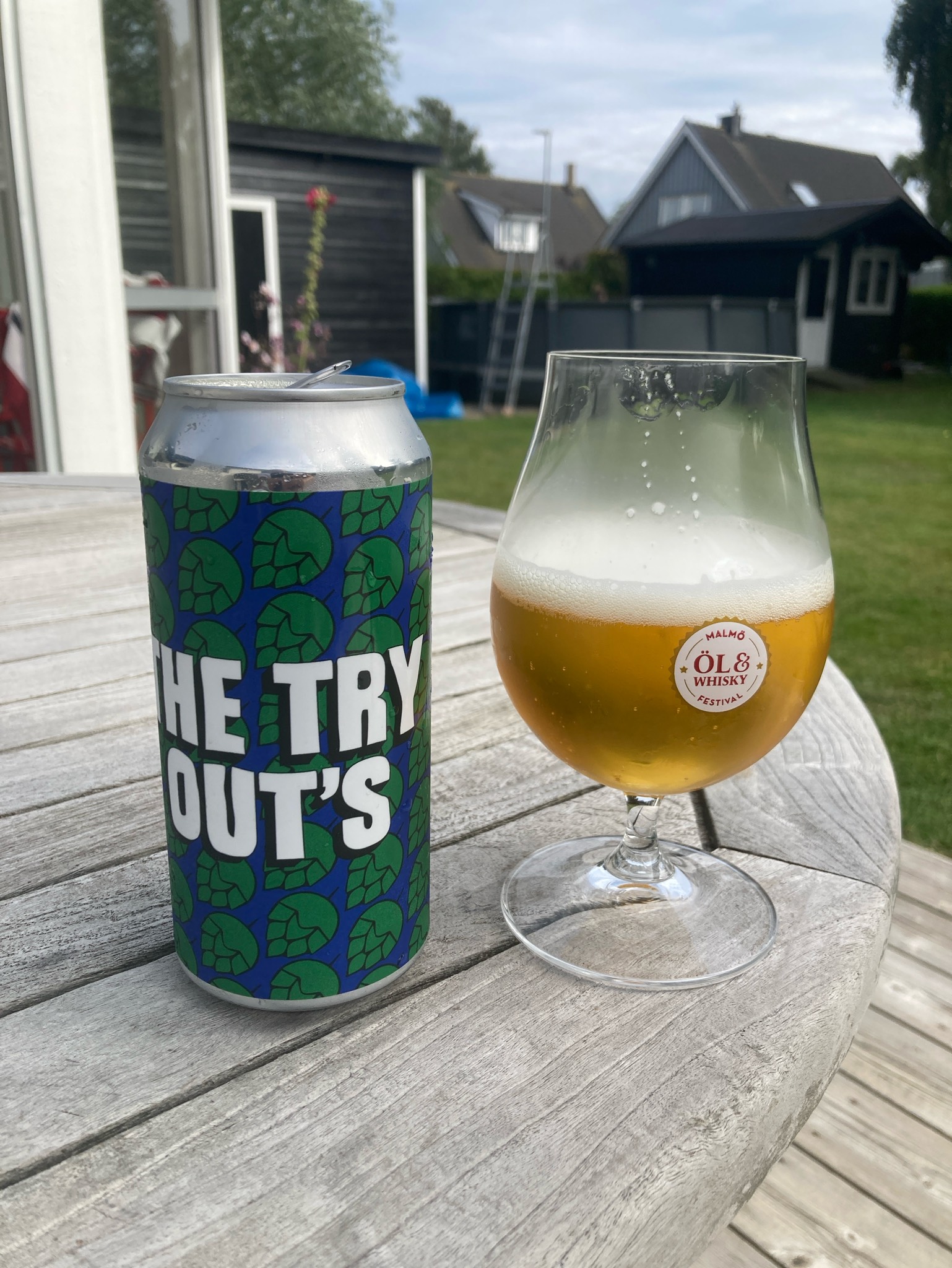 The try out's dipa - zappa/enigma, Sweden