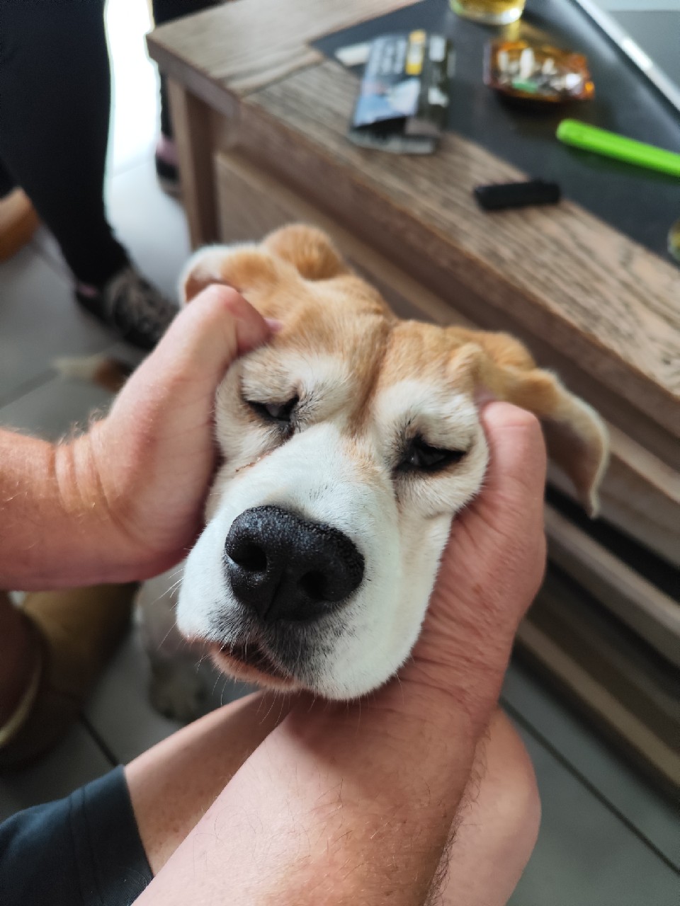 La Môme De France Blonde, France