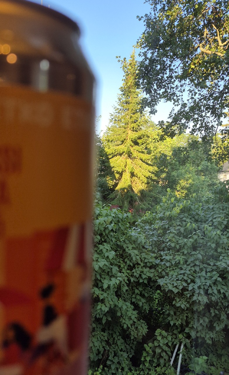 Terassi NEIPA 2025, Finland
