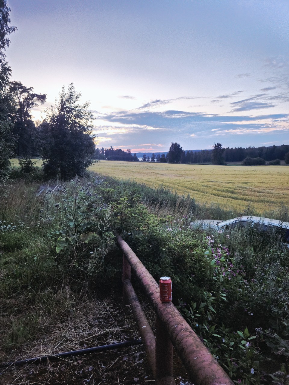 Kotimainen Olut, Finland
