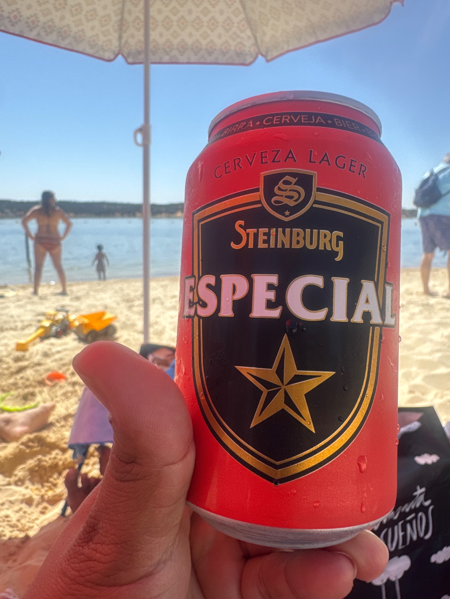 Steinburg Especial, Font Salem (Damm)
