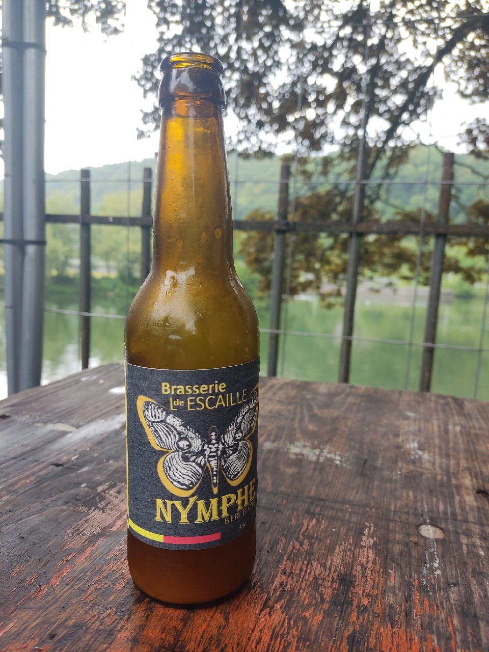 Nymphe, Escaille
