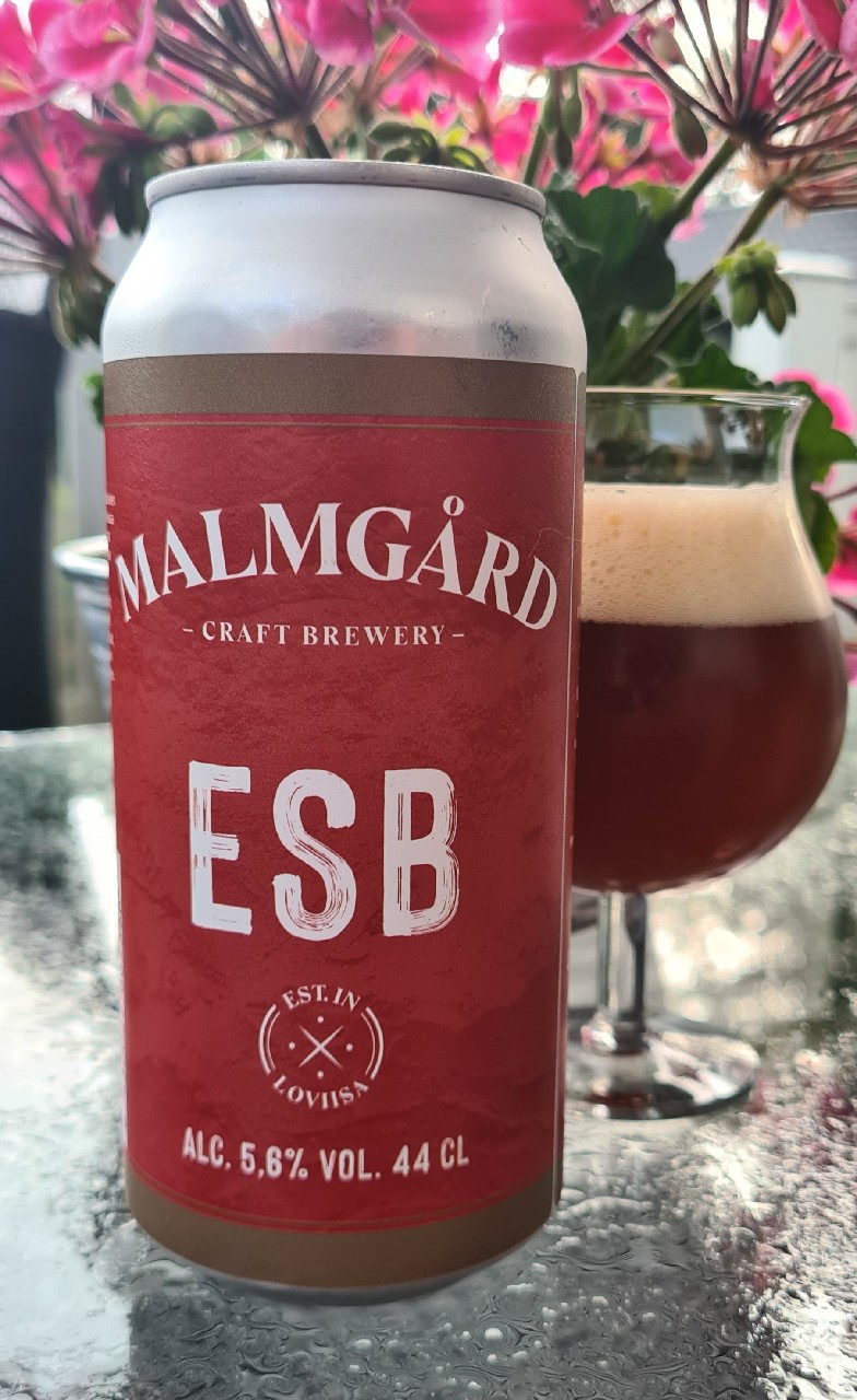 ESB, Finland