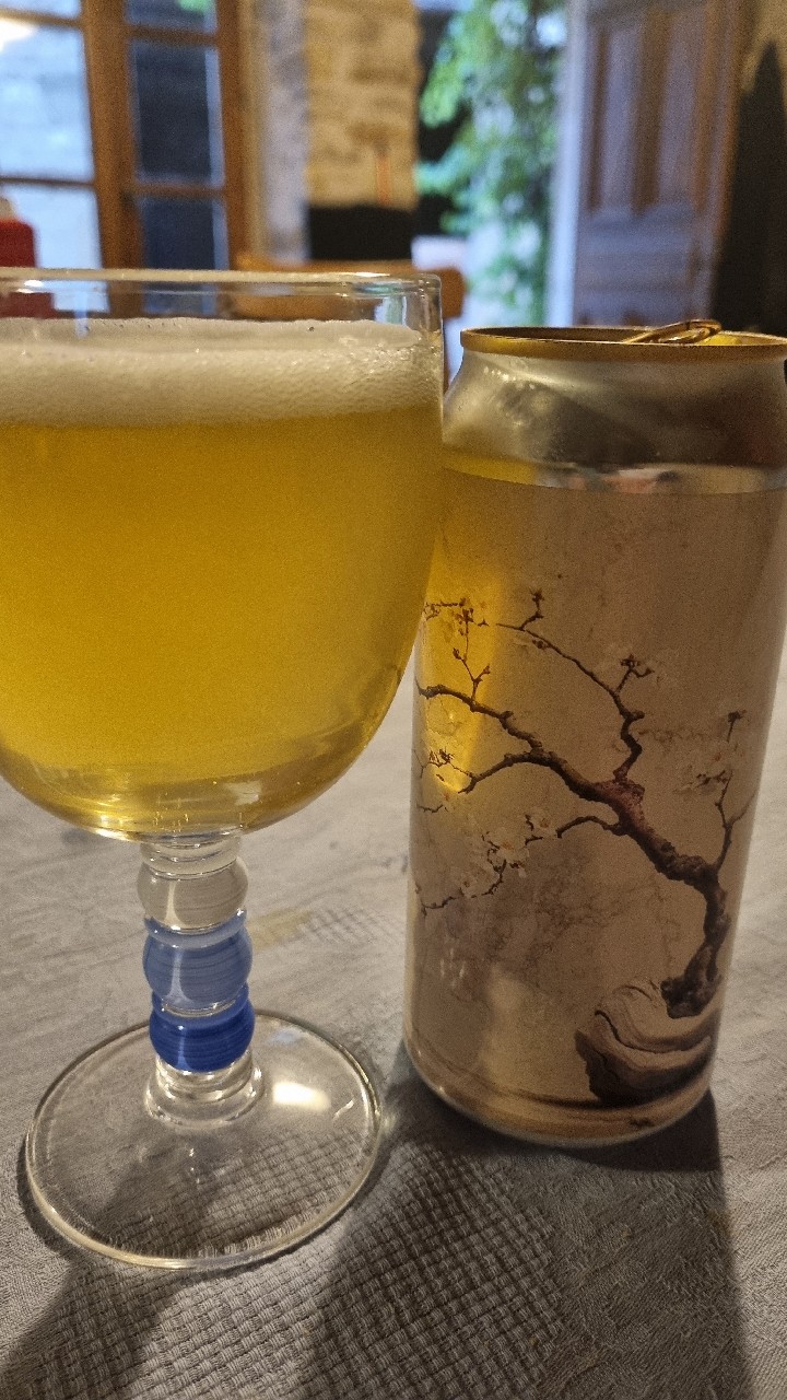 Rice Vanille, Kazan CraftBeer