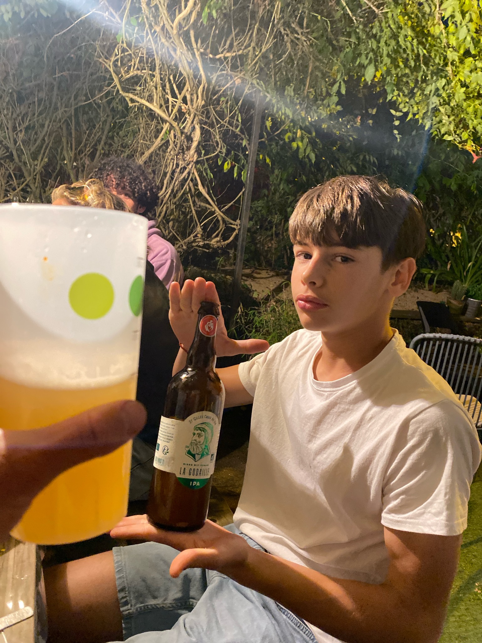 La Godaille IPA Bio, Les Brasseurs De La Vie
