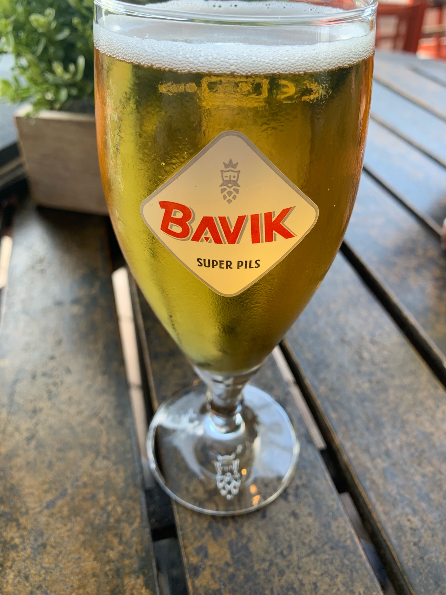 Bavik Super Pils, Belgium