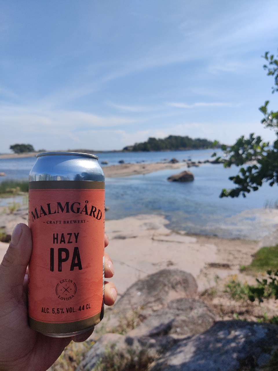 Hazy IPA, Finland