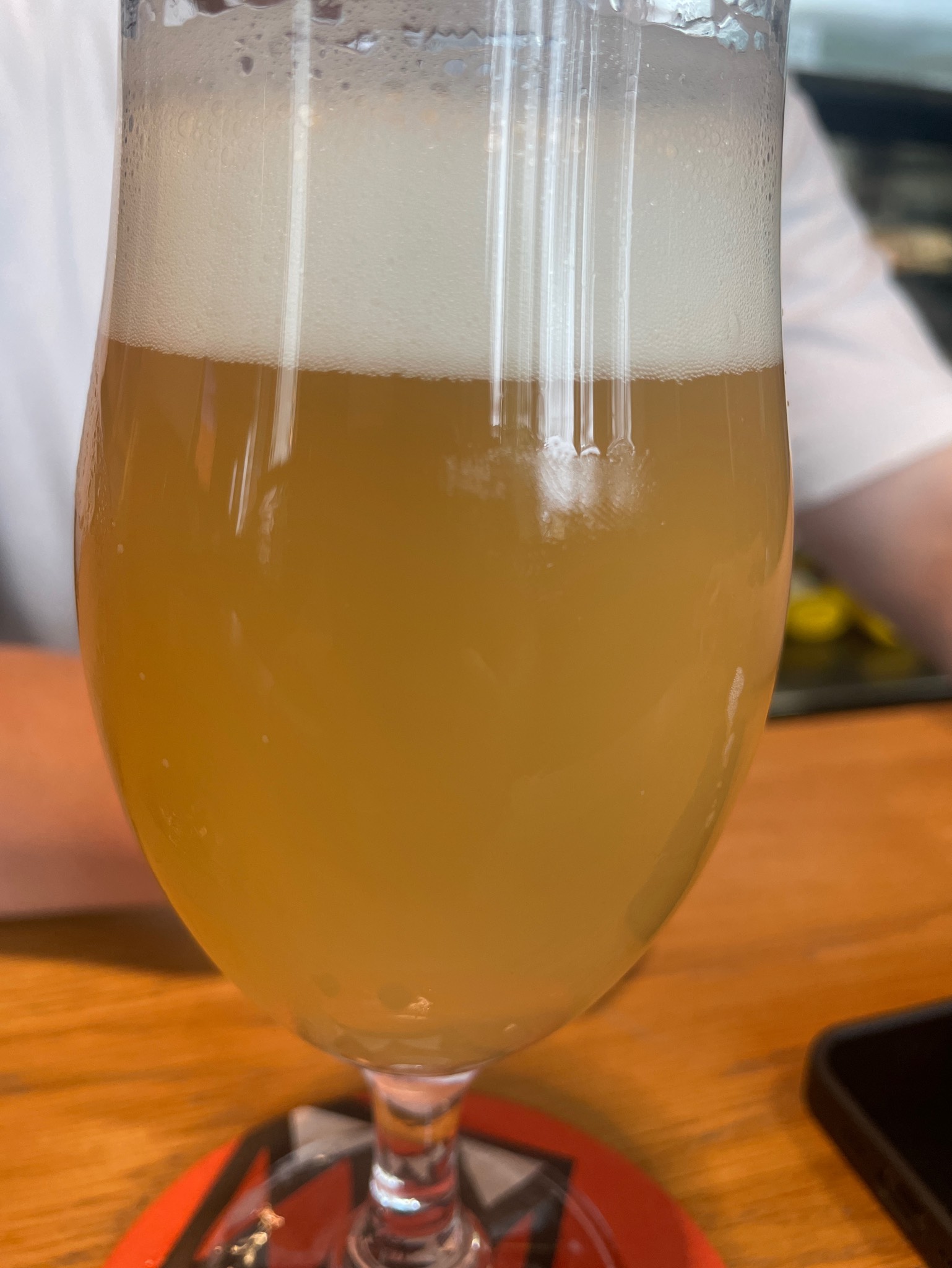 Red Eye Rabbit, Slovenia