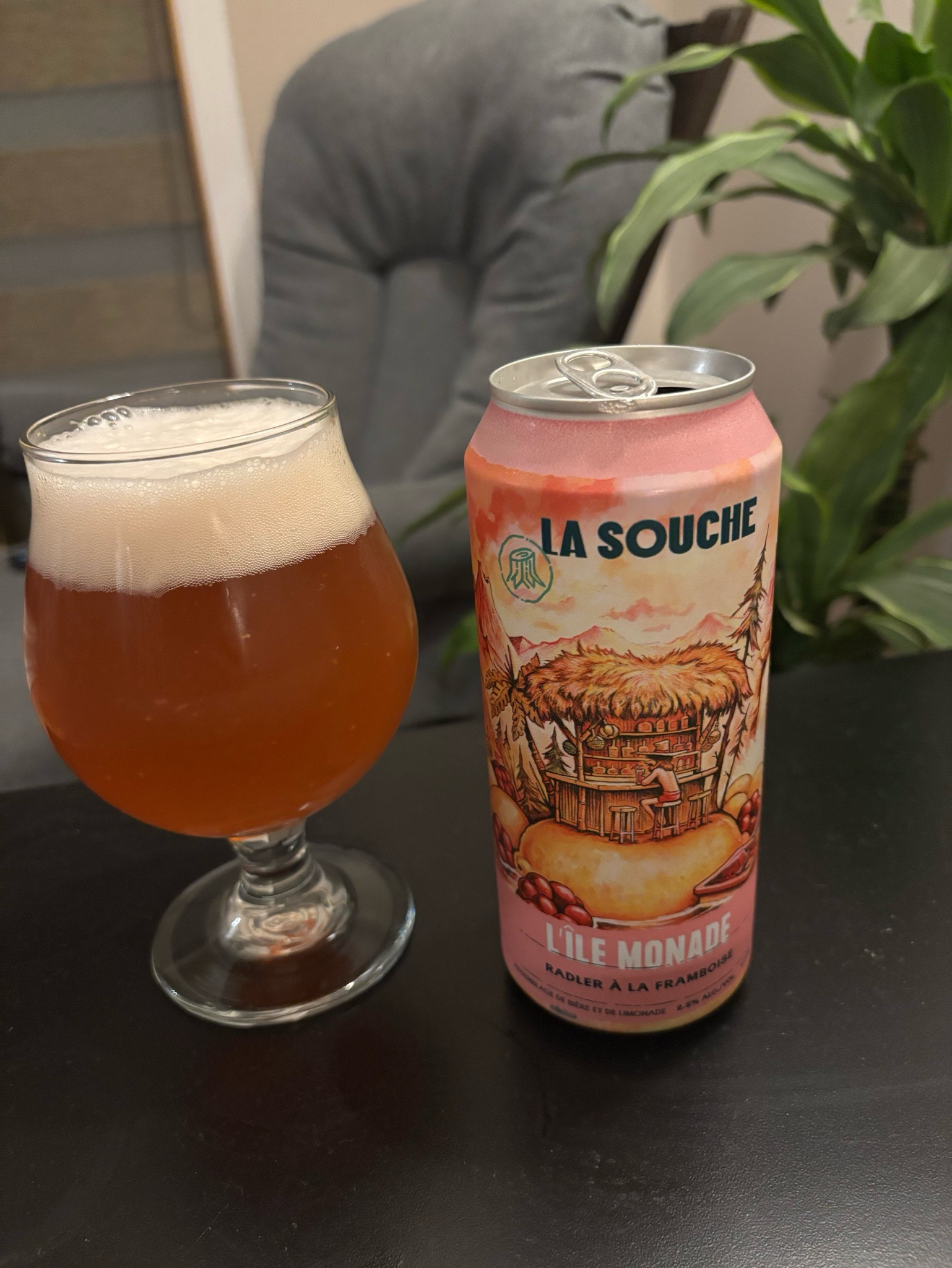 L'île Monade, La Souche Microbrasserie