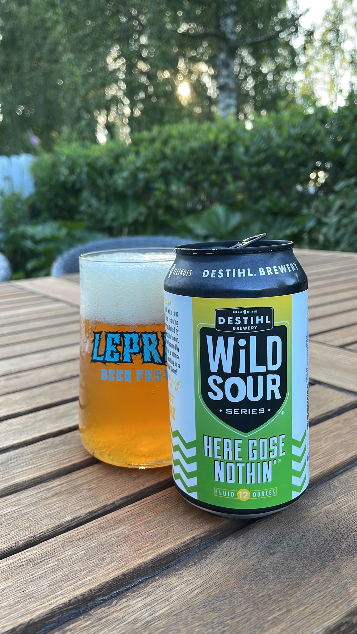 Wild Sour Series: Here Gose Nothin', Destihl Brewery