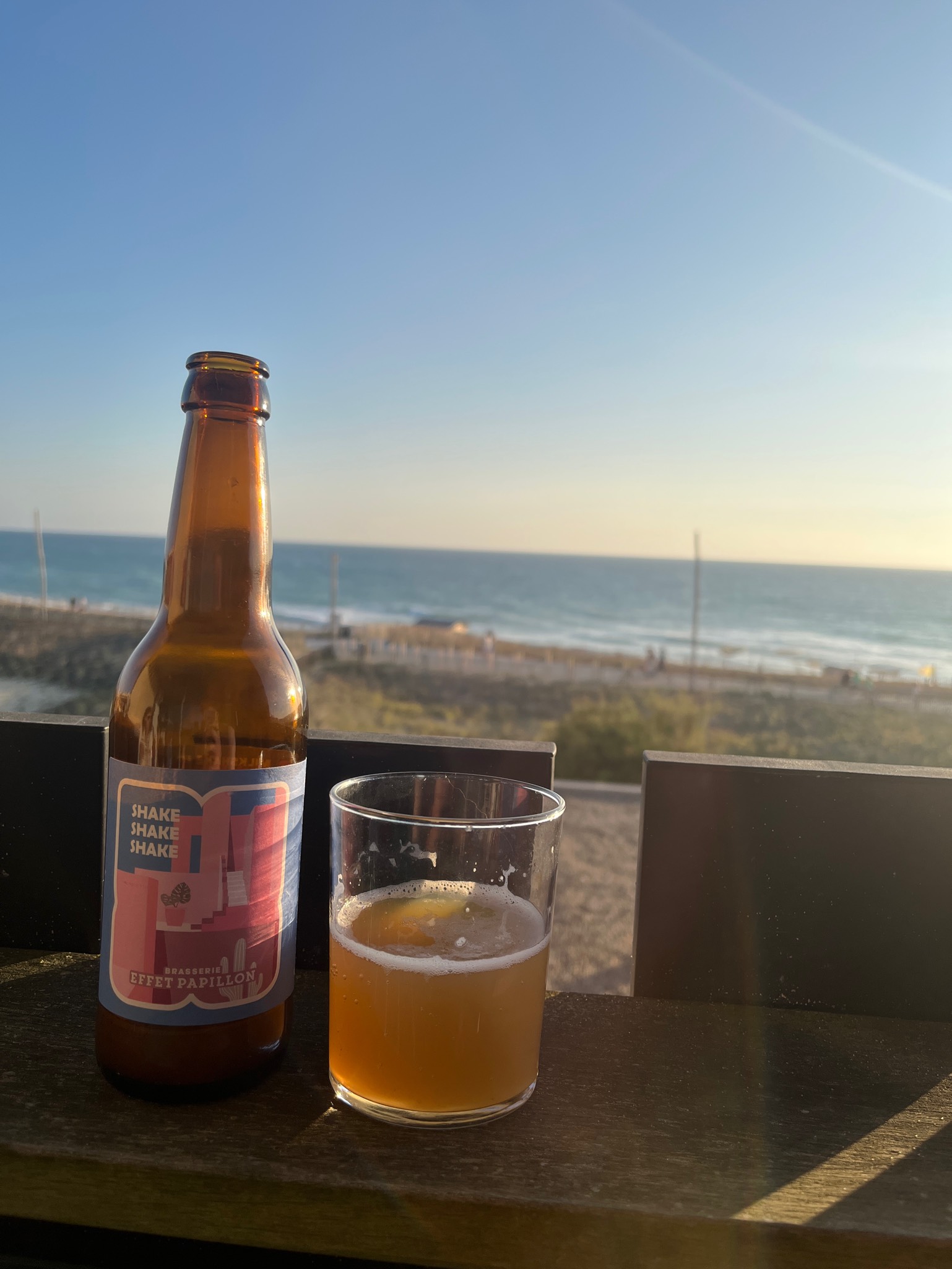 Shake Shake Shake, France