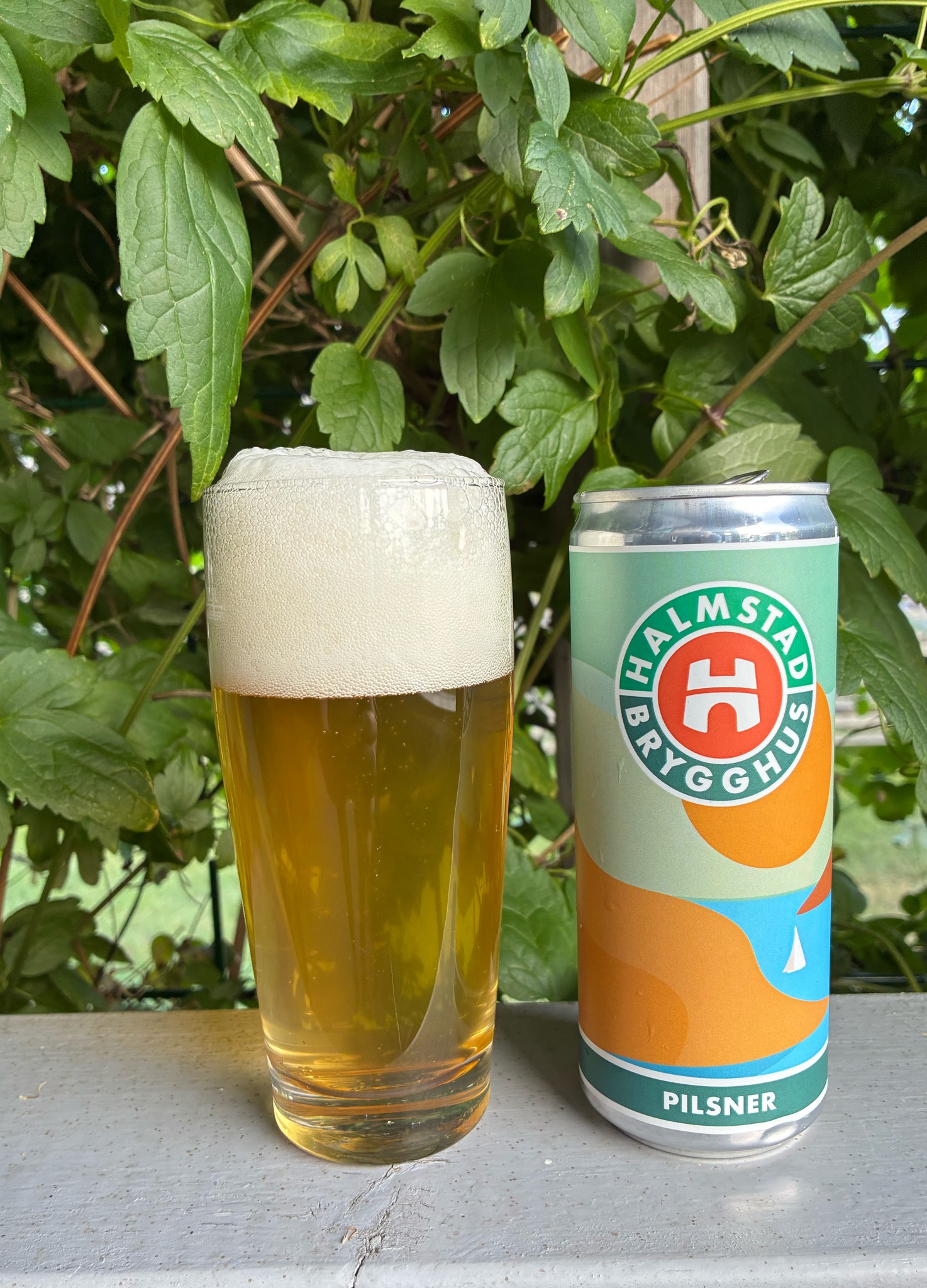 Pilsner, Sweden