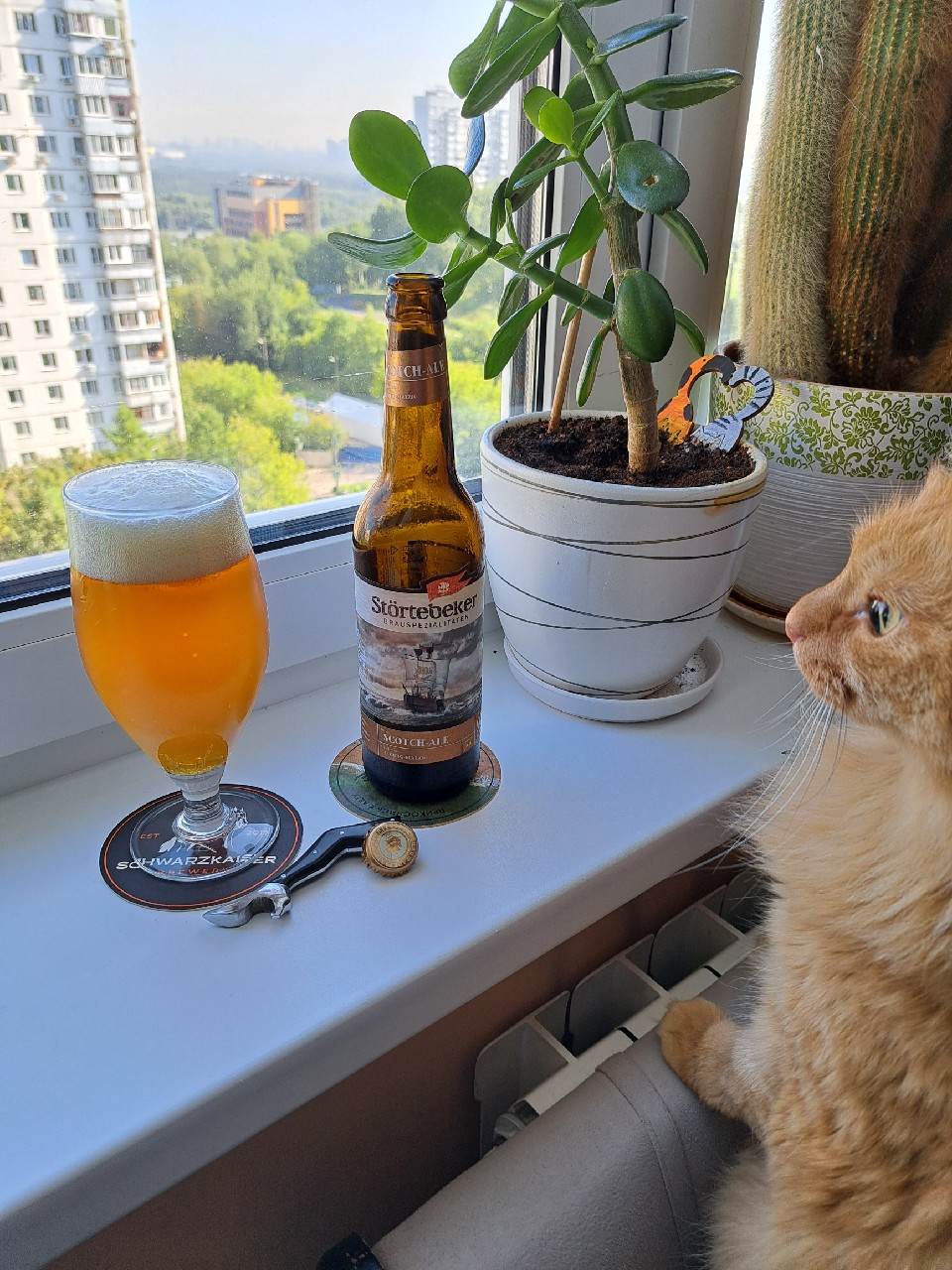 Scotch-Ale, Germany