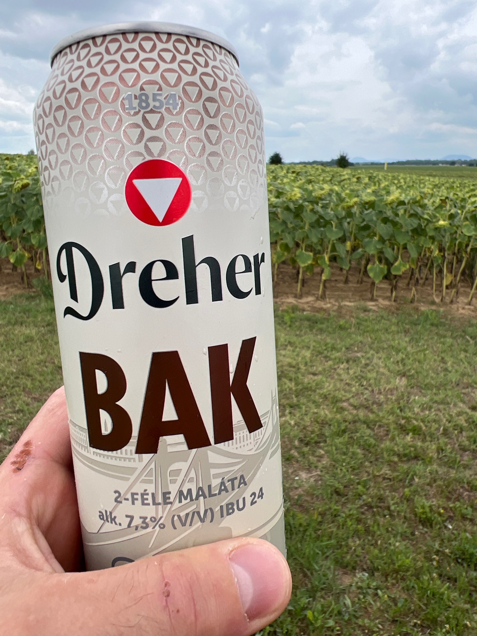 Dreher Bak, Dreher Sörgyárak (Asahi)