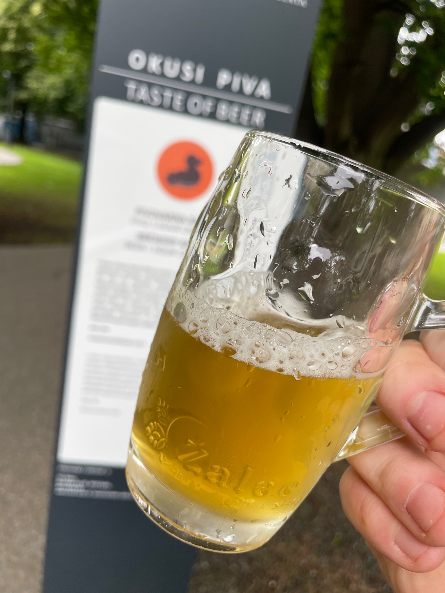 1 Hour Crazy IPA / 60 Minute IPA, Slovenia