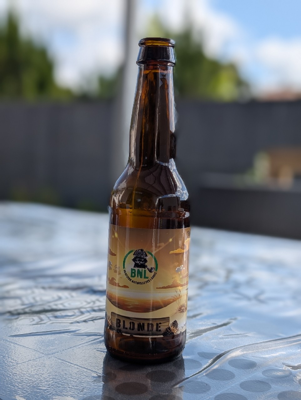 M40.6 Blonde, France