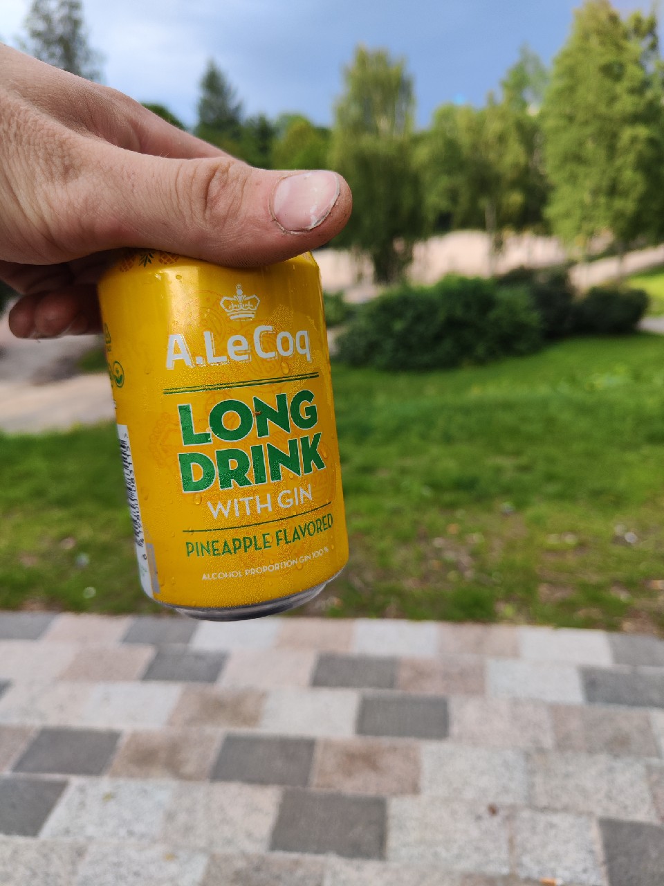Gin Pineapple Long Drink, Estonia