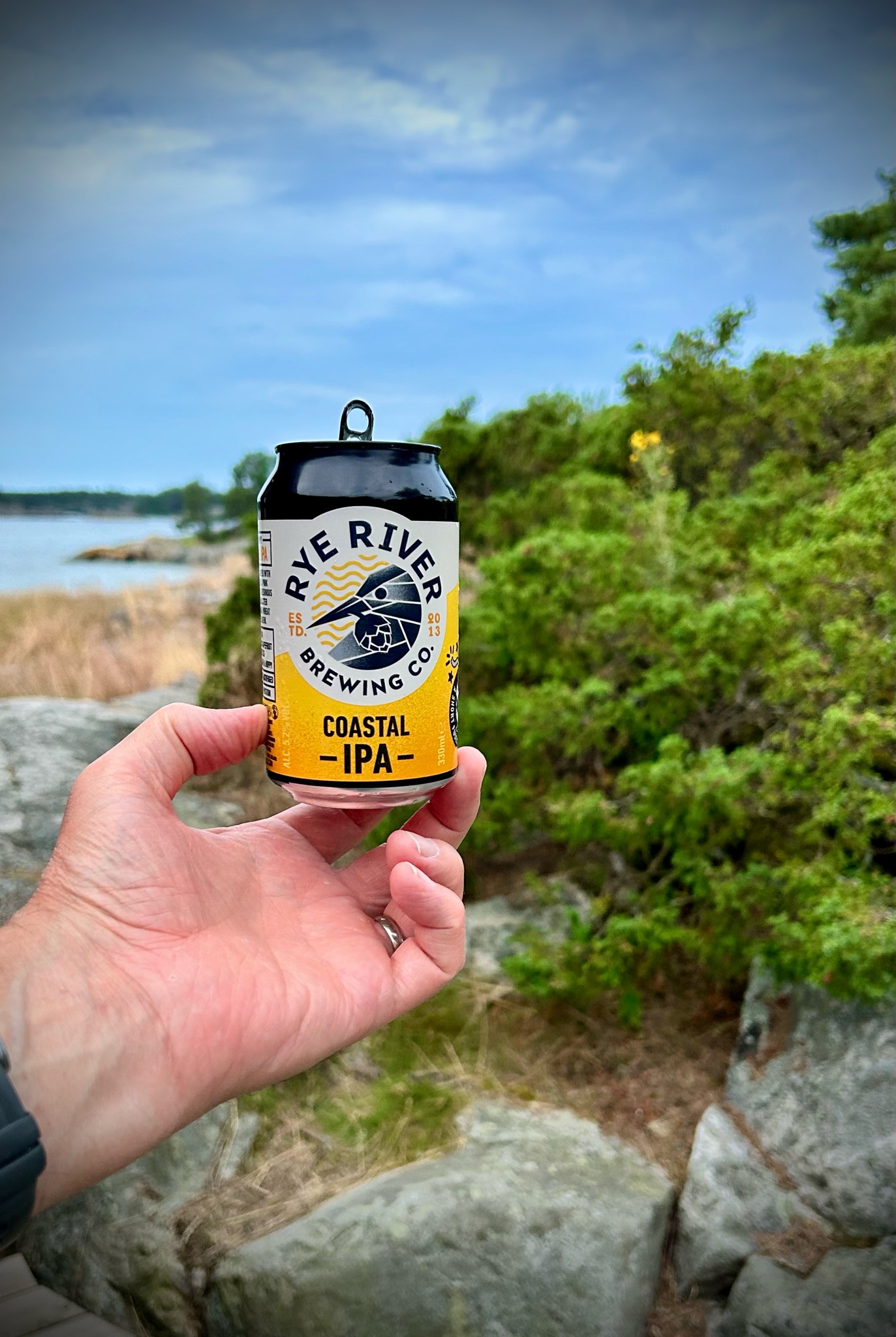 Coastal IPA, Ireland