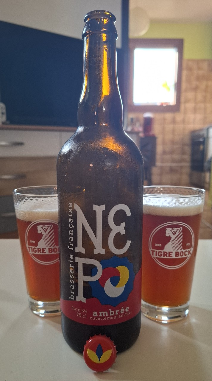 Nepo Ambrée, France