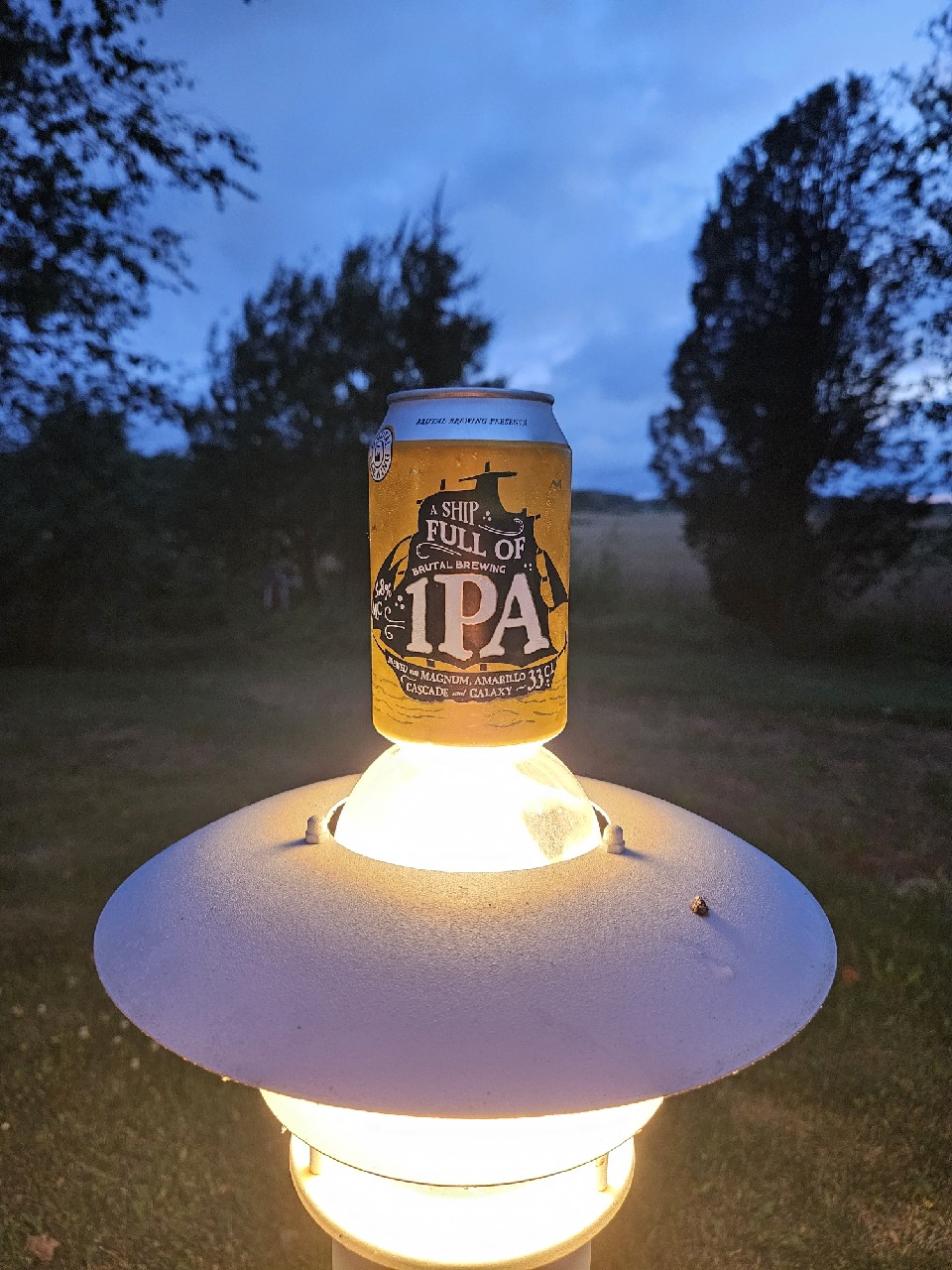 A Ship Full of IPA 5.8%, Sweden