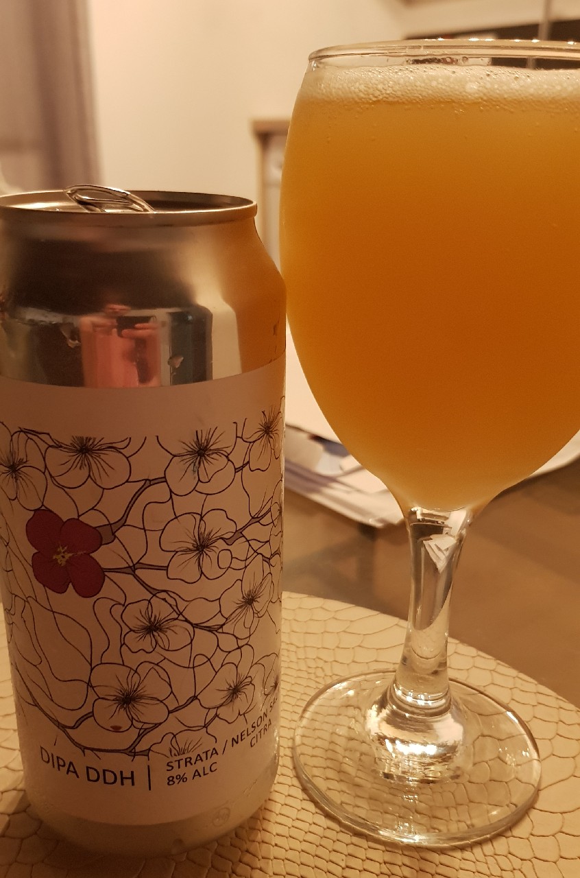 DIPA DDH Strata / Nelson Sauvin / Citra, France