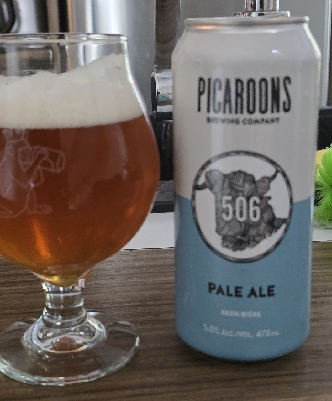 506 picaroons, Picaroons