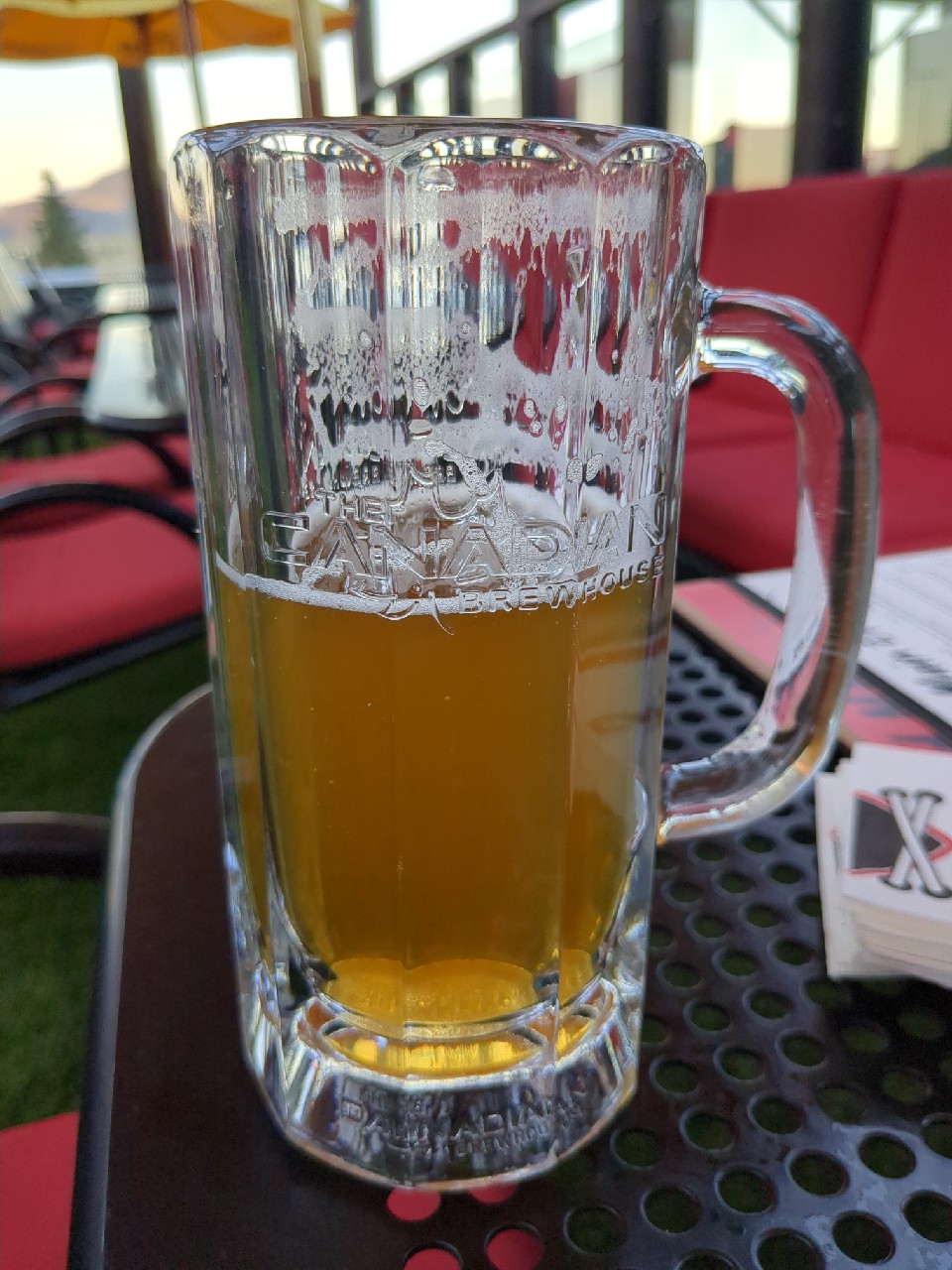 Trail Hopper IPA, Stanley Park Brewing (ABInBev)