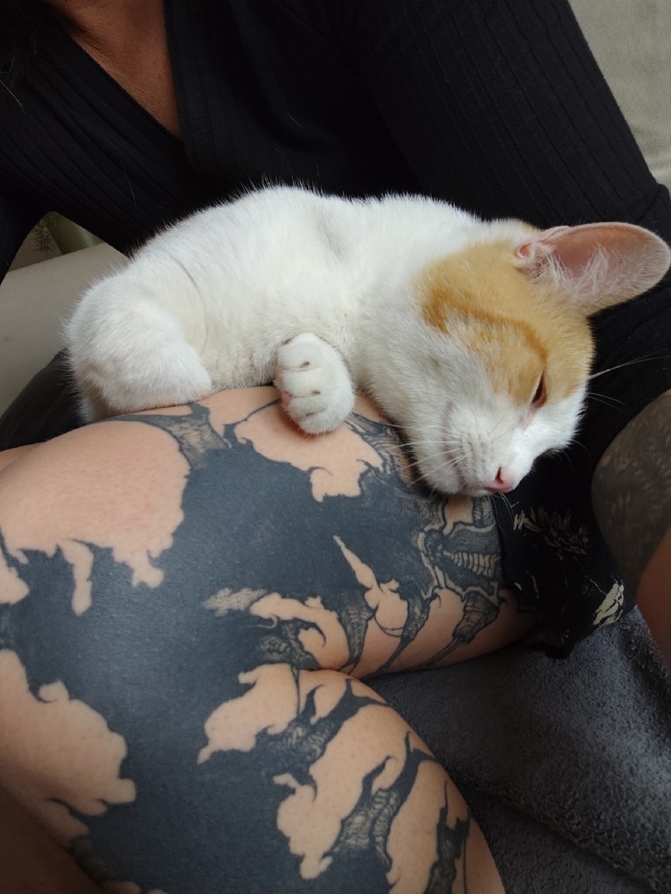 NEIPA Citra Galactique, France