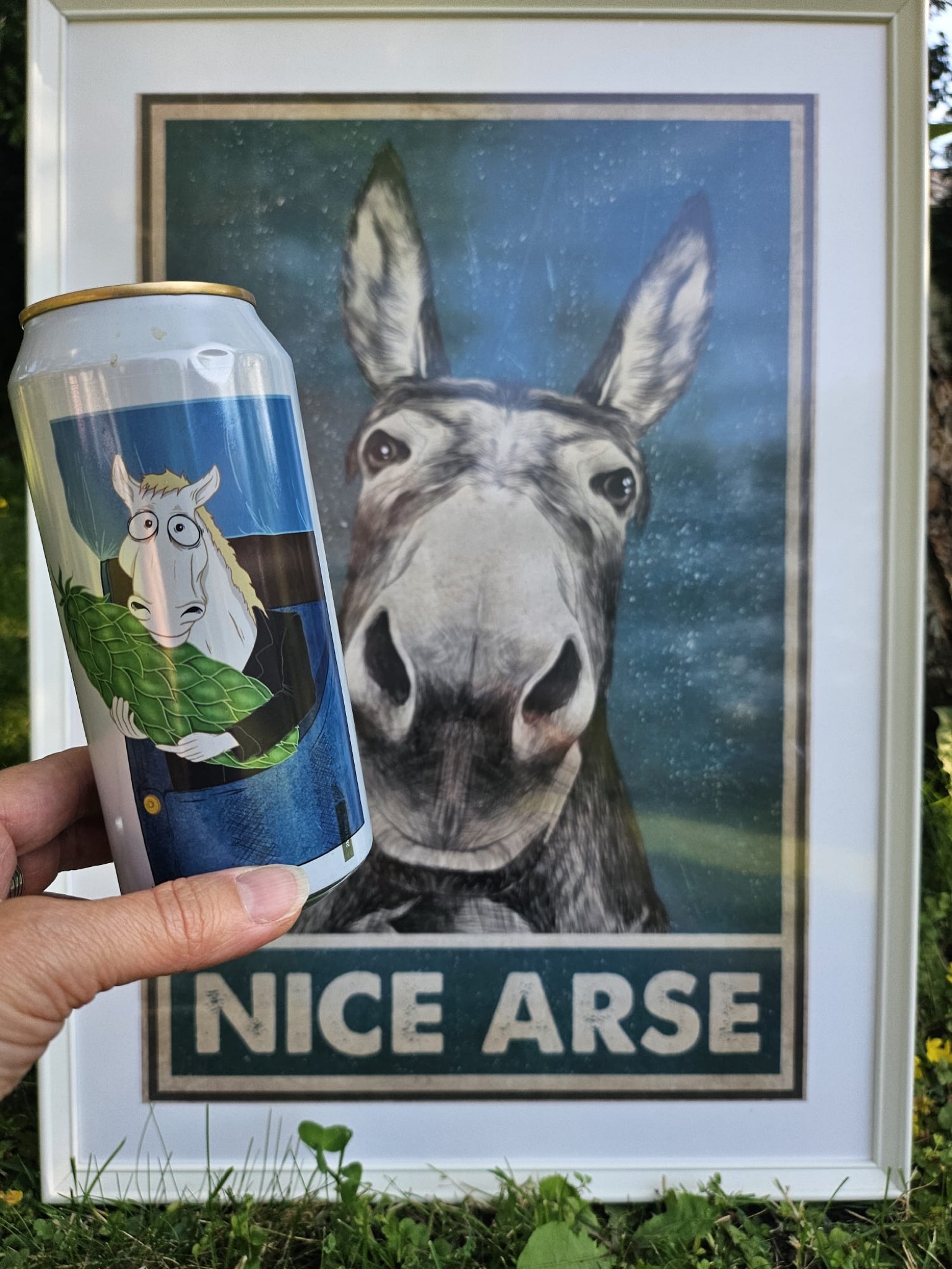 Pocket Horse, Sweden