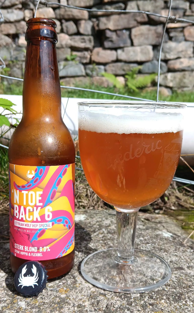 n toeback 6, Belgium