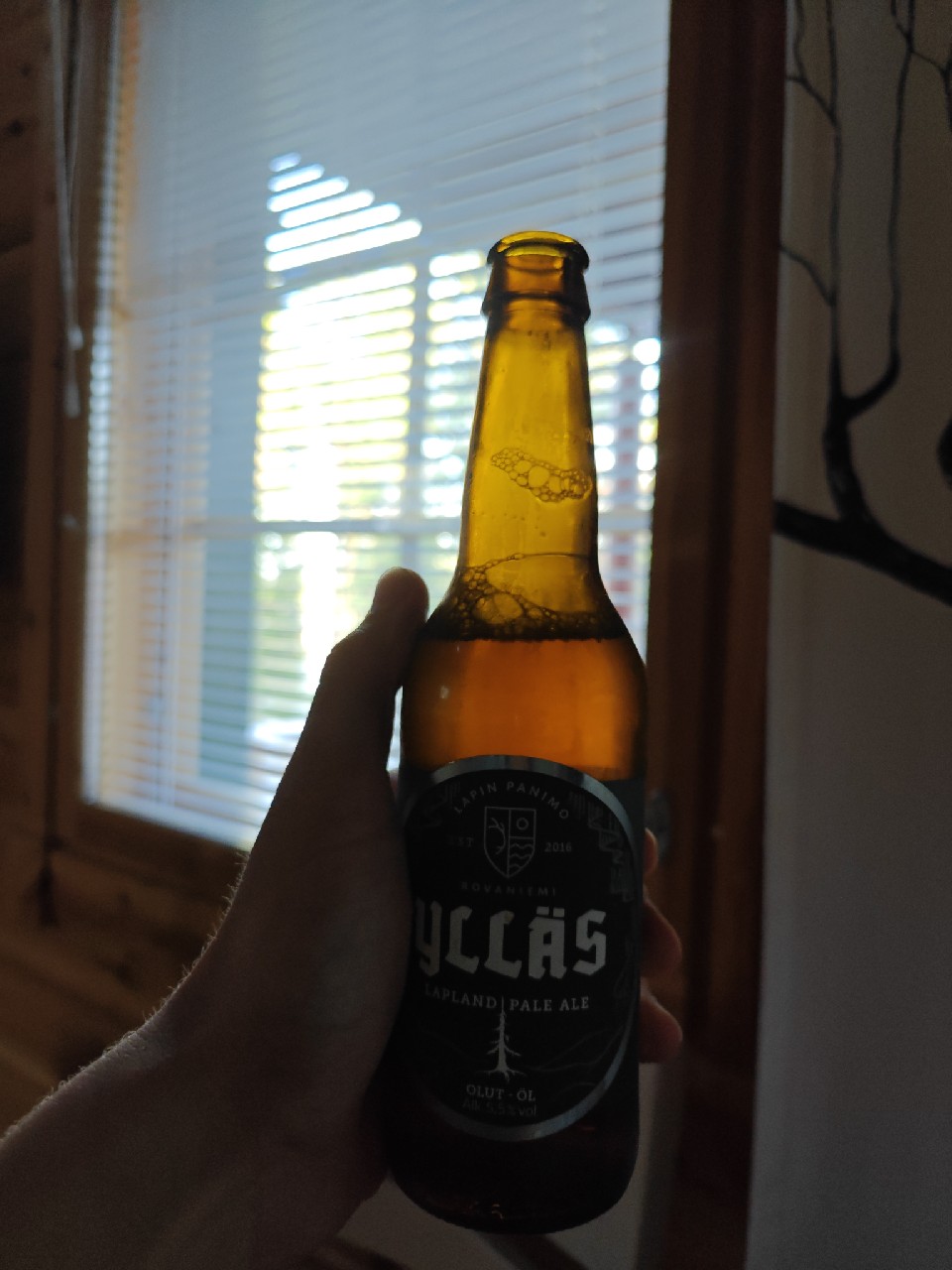 Ylläs Lapland Pale Ale, Finland