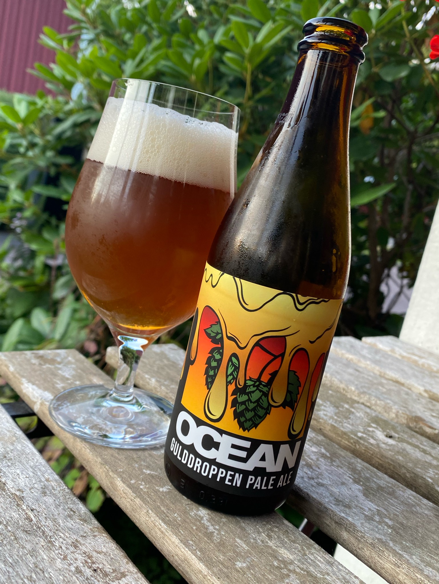 Gulddroppen Pale Ale, Oceanbryggeriet